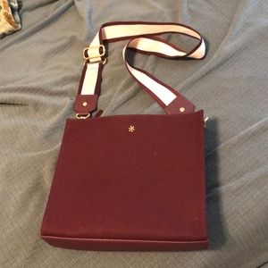 Erin Condren planner bag